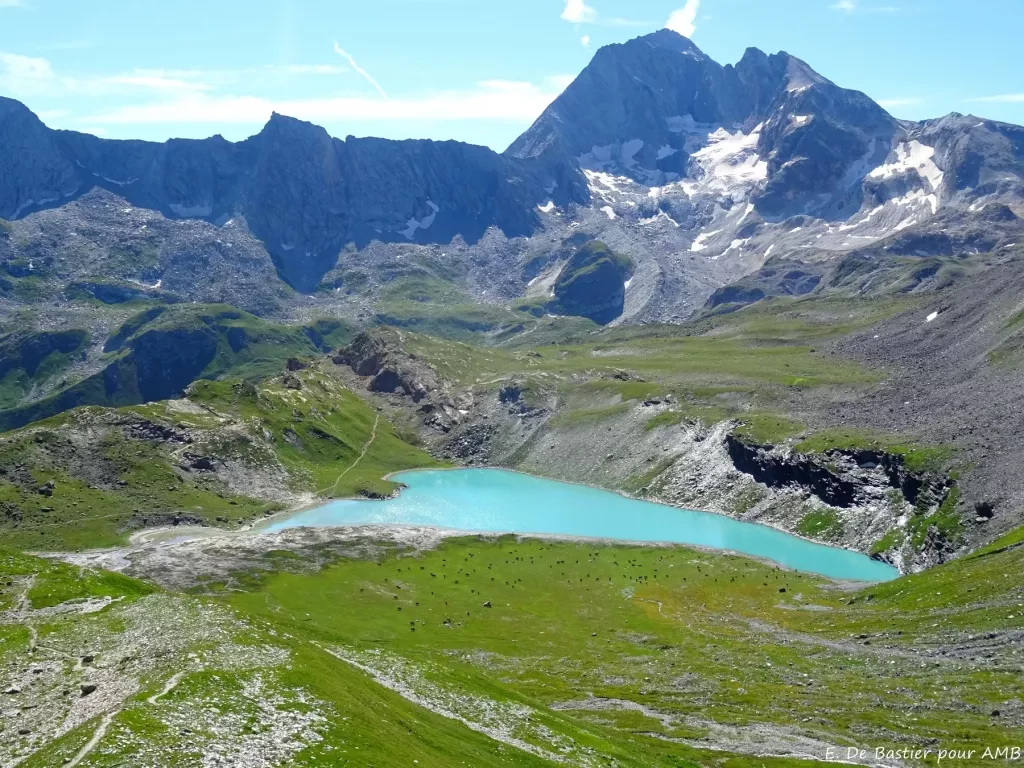 media-library8q2vpmoj9p36cqWeAXn