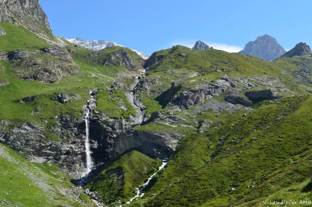 media-library9ficofekk7j0f80vlfm