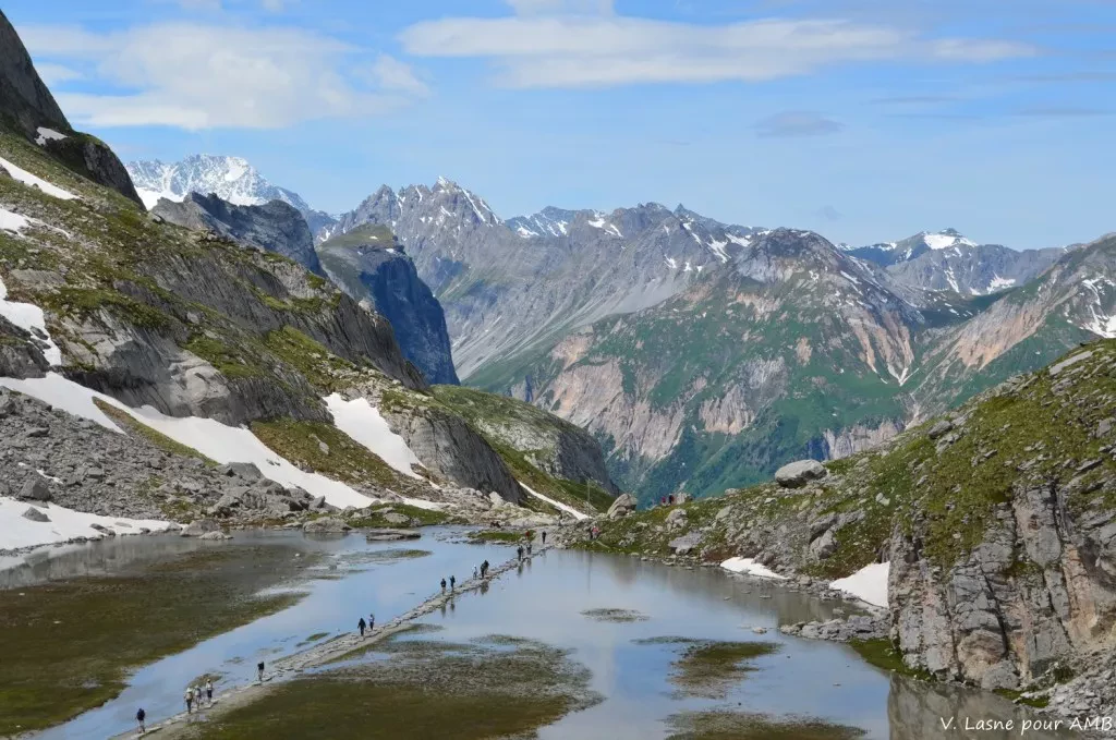 media-library0pvdv9fs0fa55g0Nt7o