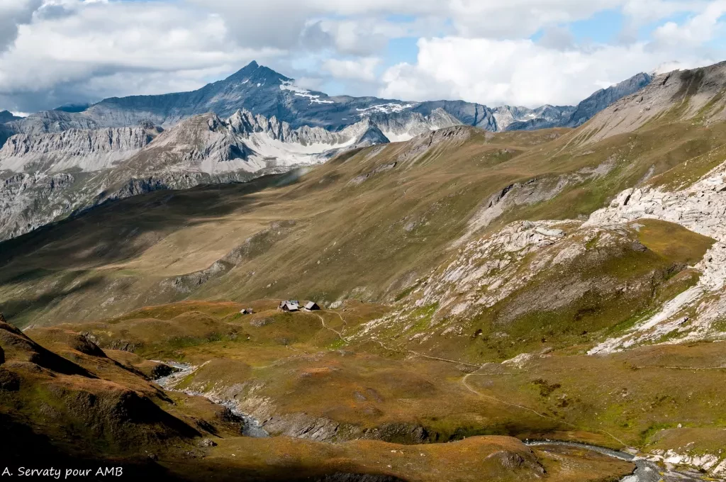 media-library0e0jls3lt4tj2pbOJ5p