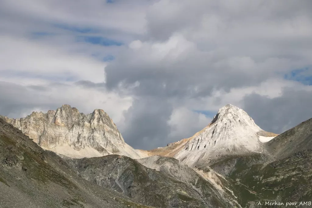 media-libraryprj6hlna9pir3NI88dm