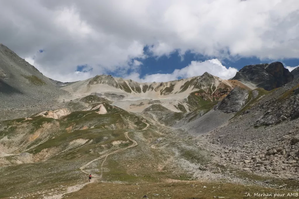 media-librarytm5kp255k21rcyvXWJo