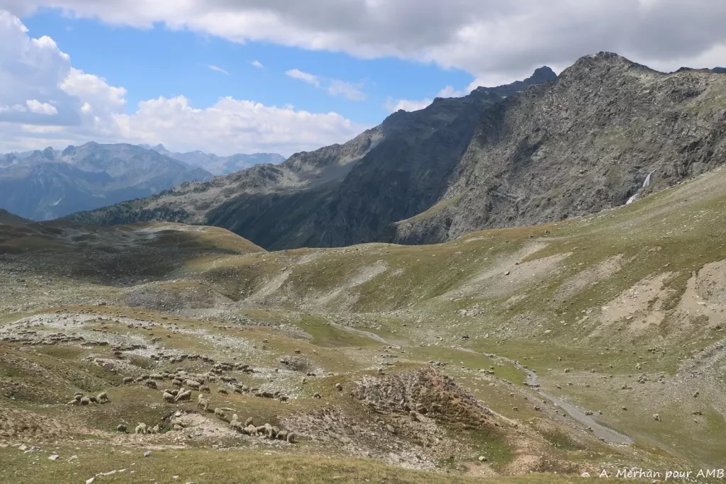 media-library90ereo537iodf25vpHp