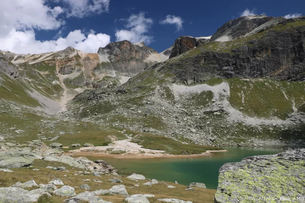 media-library58ark99n7nrf8FOPjsm