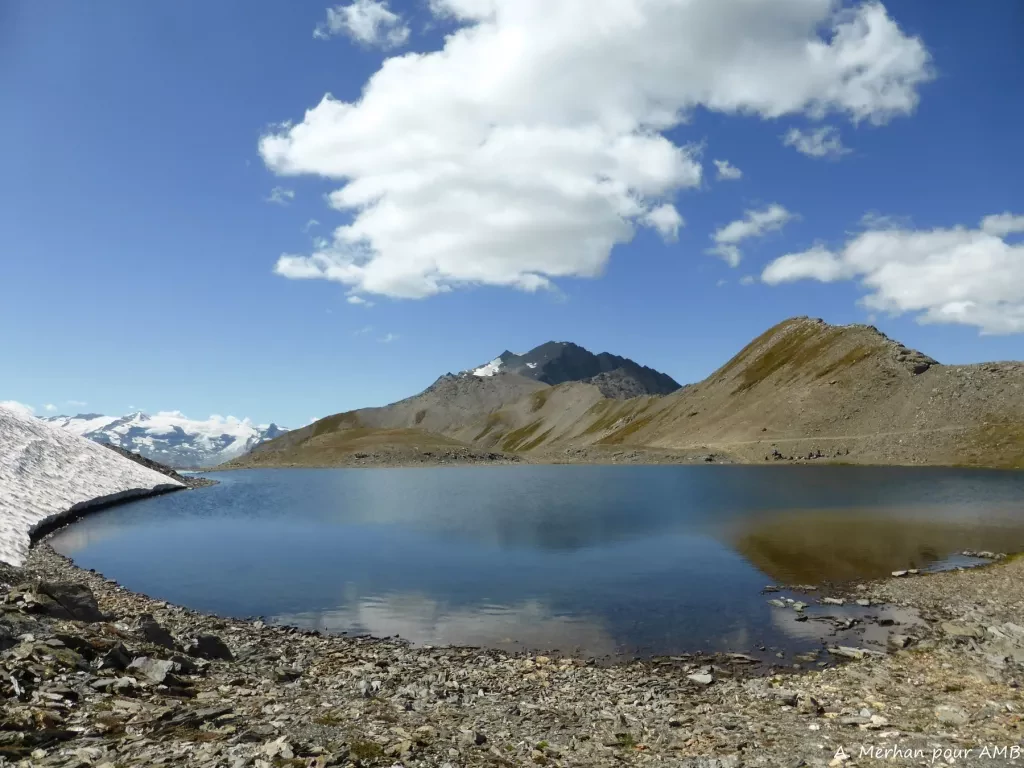 media-libraryoqe0crqj4h4daBoXbOn