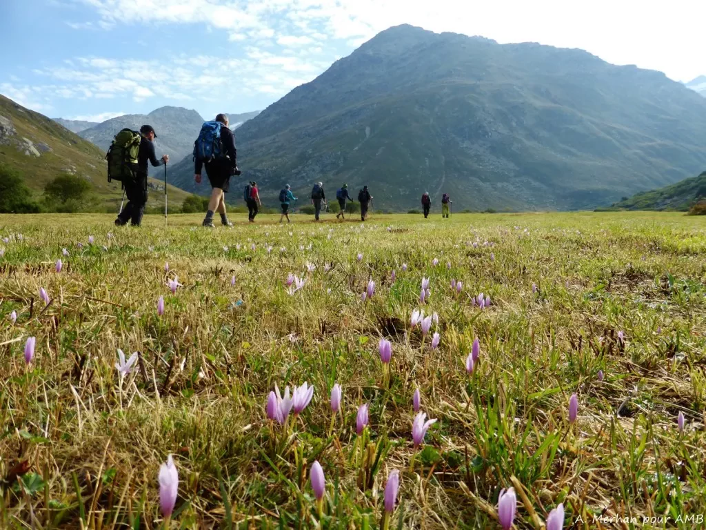 media-library4l9kdf9p46226nMH2Uo