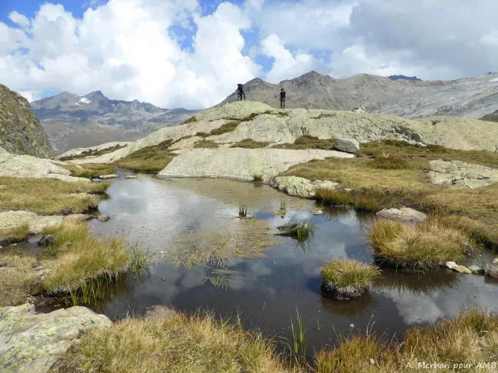 media-libraryhtk92jauuonbdGegV6n