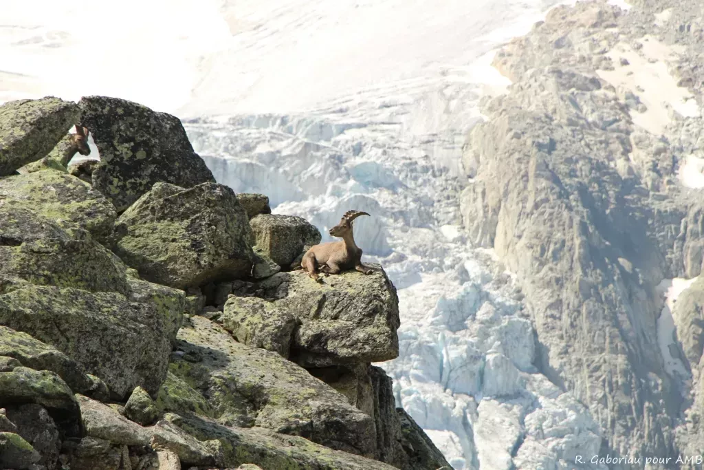 media-libraryfvp5ilbalvtv5KCKhKn