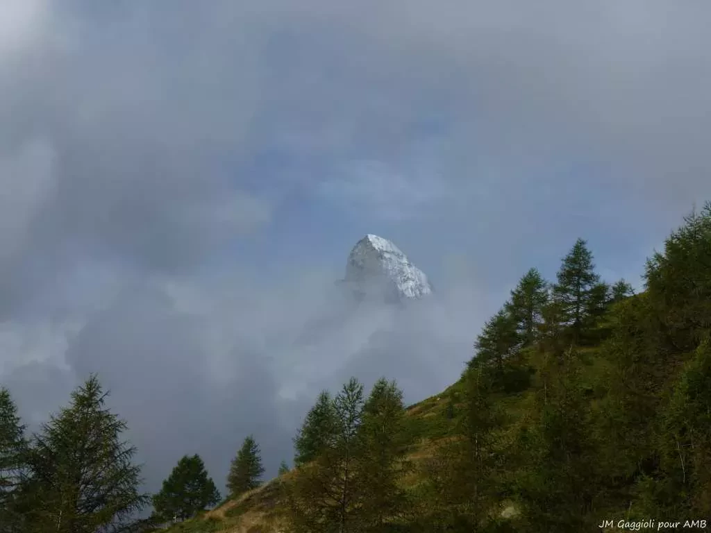 media-libraryj2t5tauifi51aUHelwm