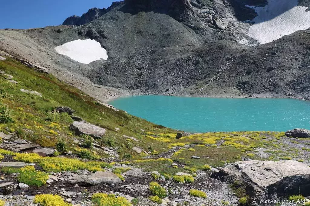 media-librarypn8dfcubecso6uueKep