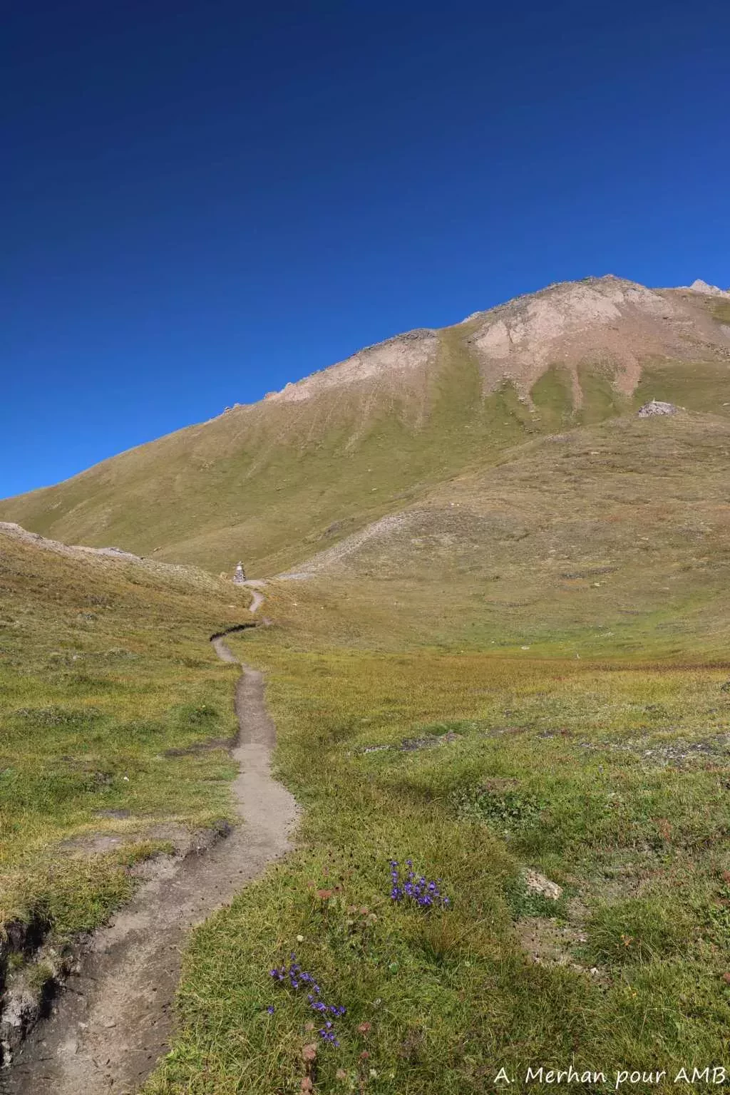 media-libraryon53uto1j44fbWToi1o