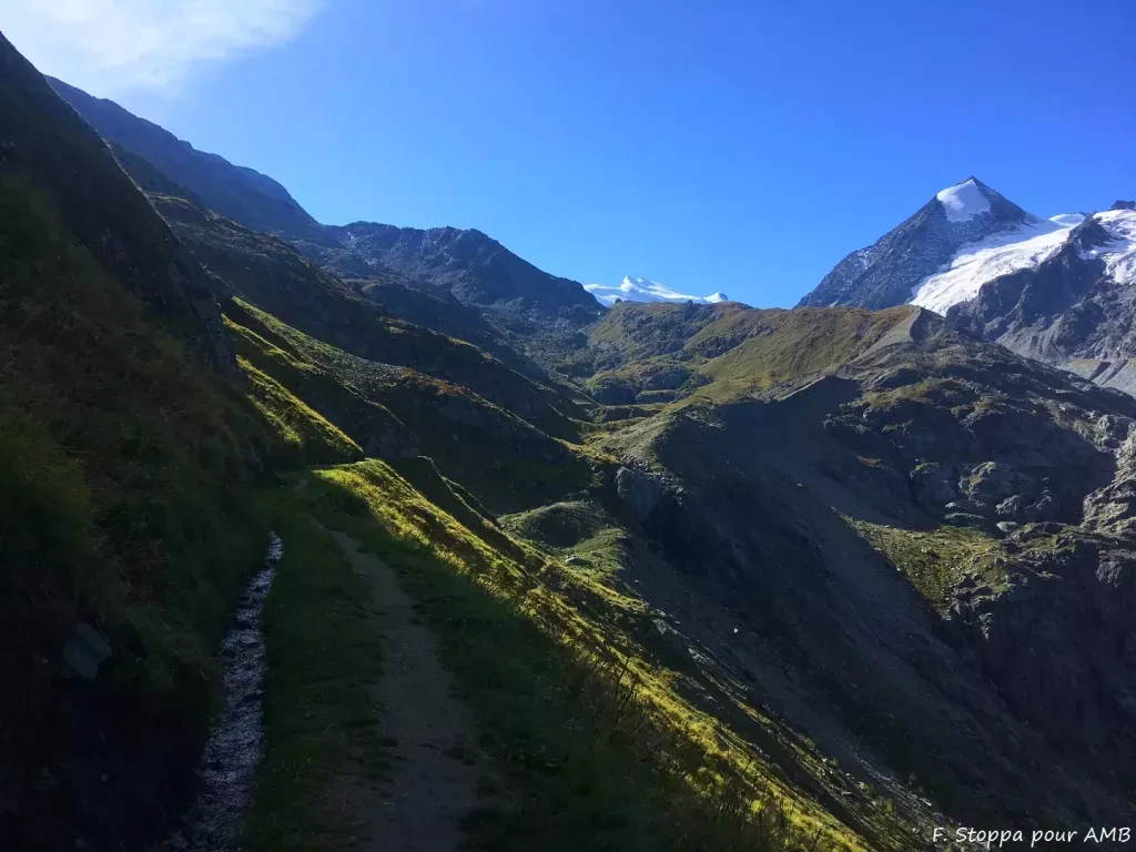 media-libraryod19isv2pgllf4IZWGp