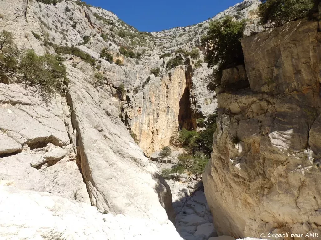 media-libraryo2alr2crmr170DLq0Tm