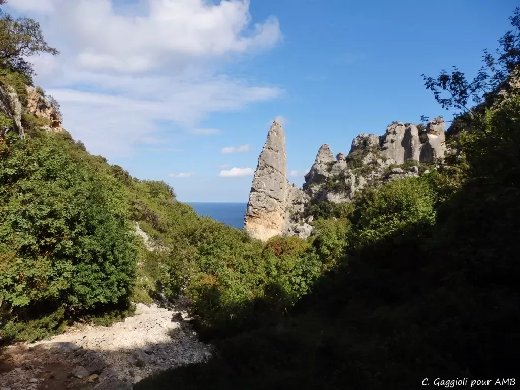 media-libraryh8vl013ih8mi6b4LD6o