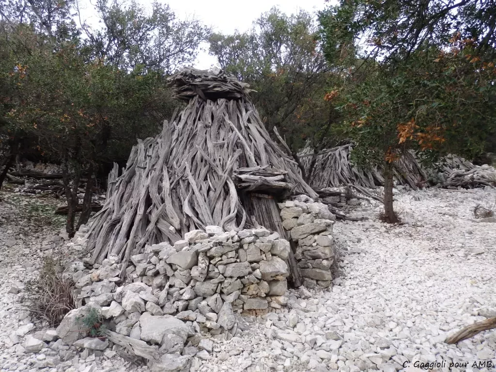 media-libraryqitdmrorir09dte674n