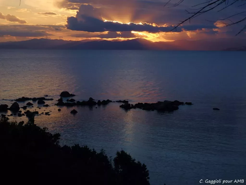 media-libraryk4jemd4ied0kcyXPRxp