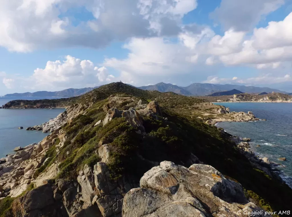 media-librarypqsbco30sk123JNiD0o