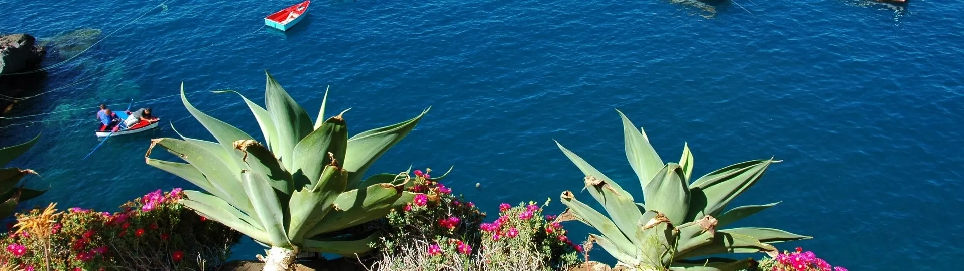 MADÈRE : AUTOTOUR en Liberté