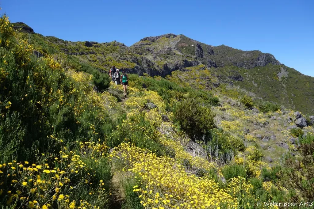 media-libraryjff63upeeuceeD4S06m