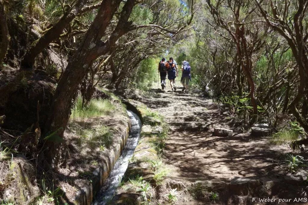 media-libraryll6ih3j43r084kbgOJn