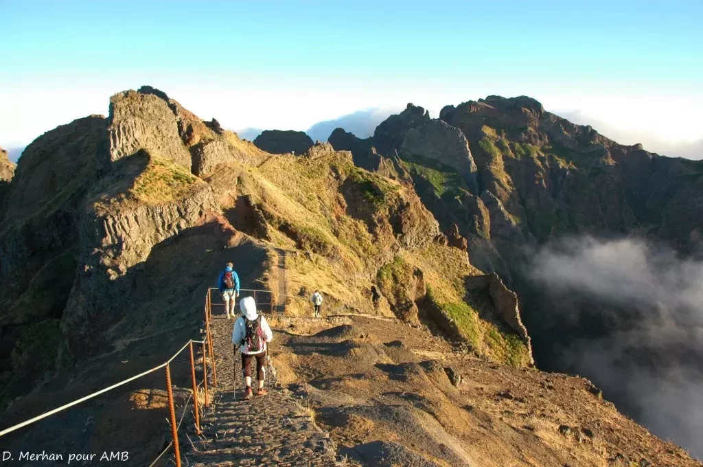 media-library8123sv17t0bjavZiU7l