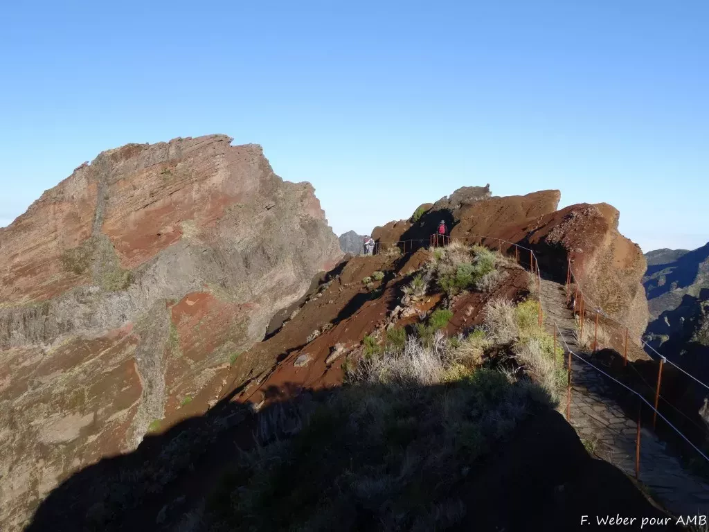 media-library27tmvfrkr3ev7h95Fcp