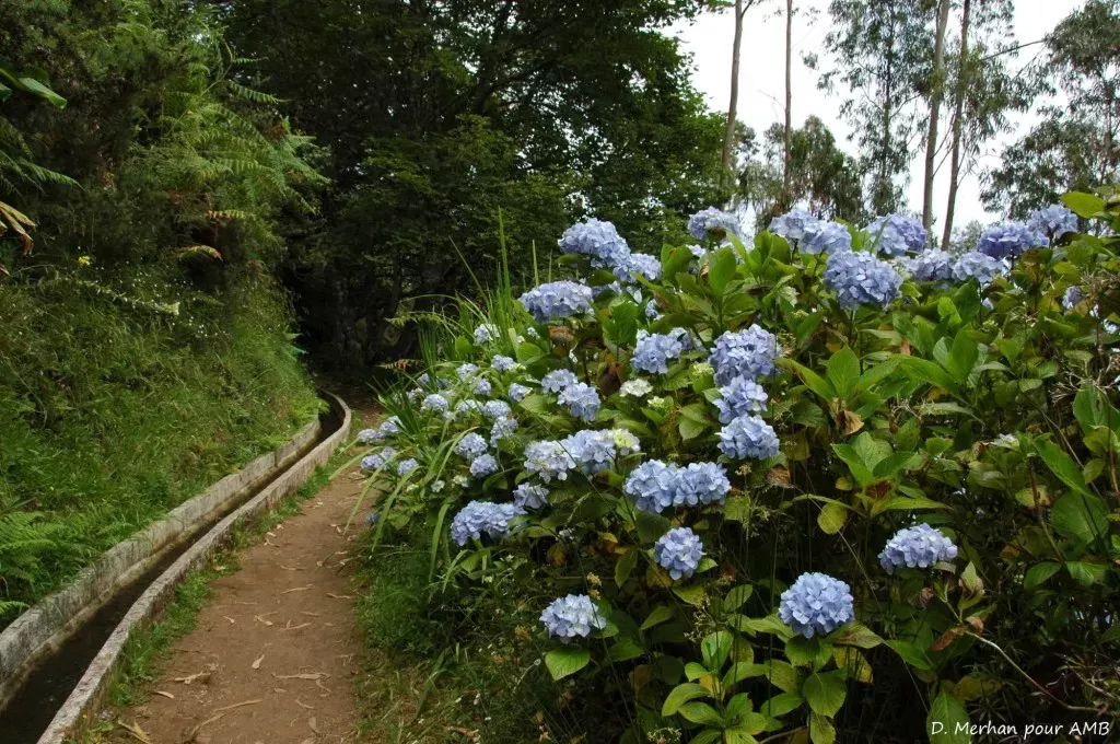 media-libraryjqqhpmmve68e1EdJoPl