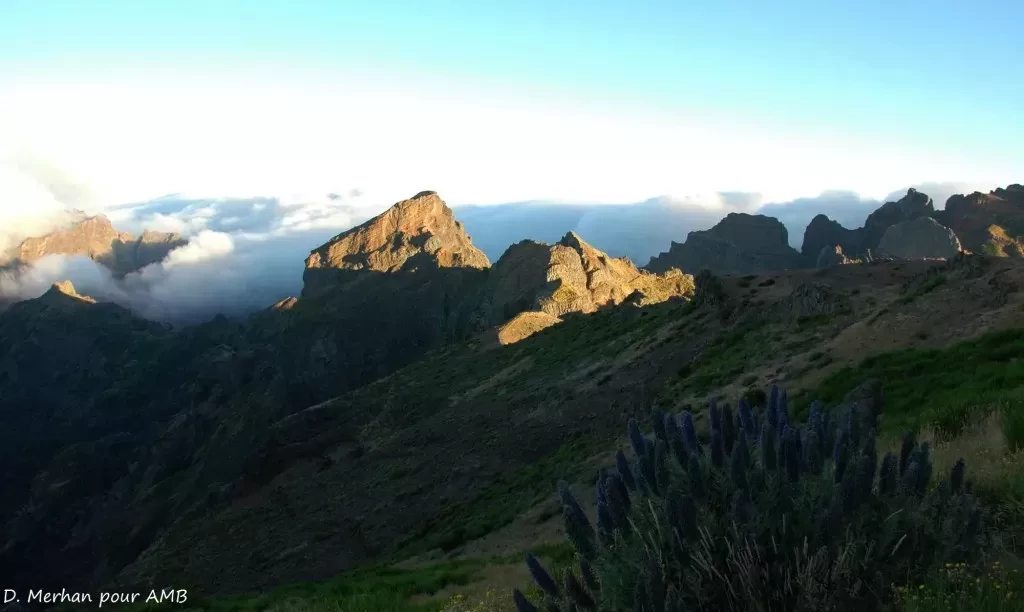 media-libraryvjjdo46d2mdj51wb4No