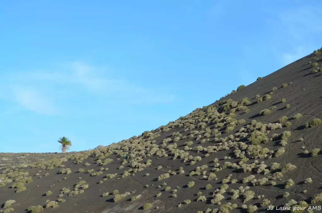 media-librarye912brk31gbp8Y1X8ao