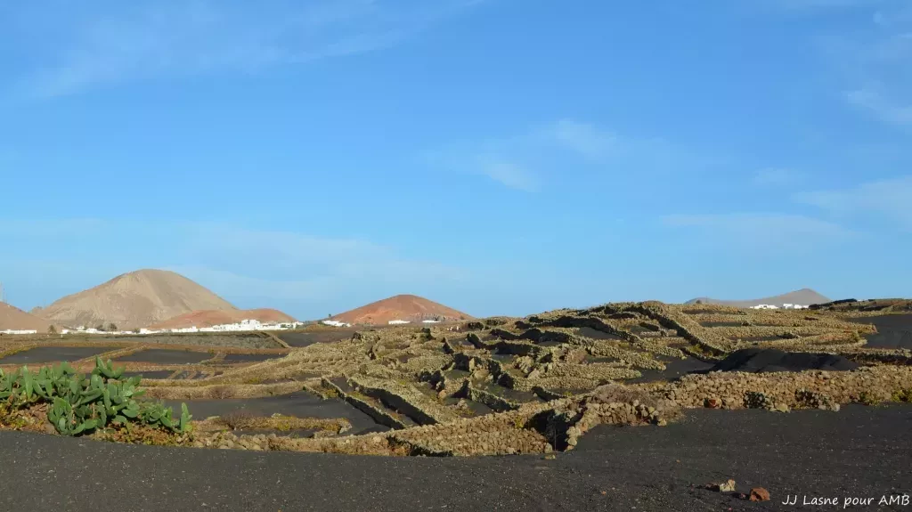 media-library0i18red9vtc3cPmPWPo