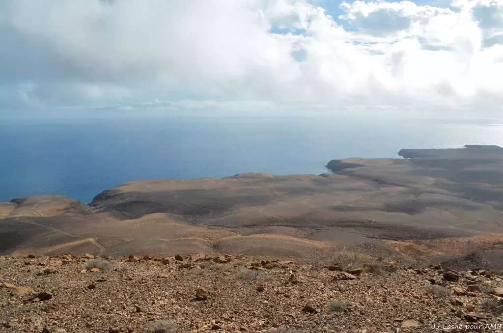 media-libraryo8u0lr6srjldfYf0BOn