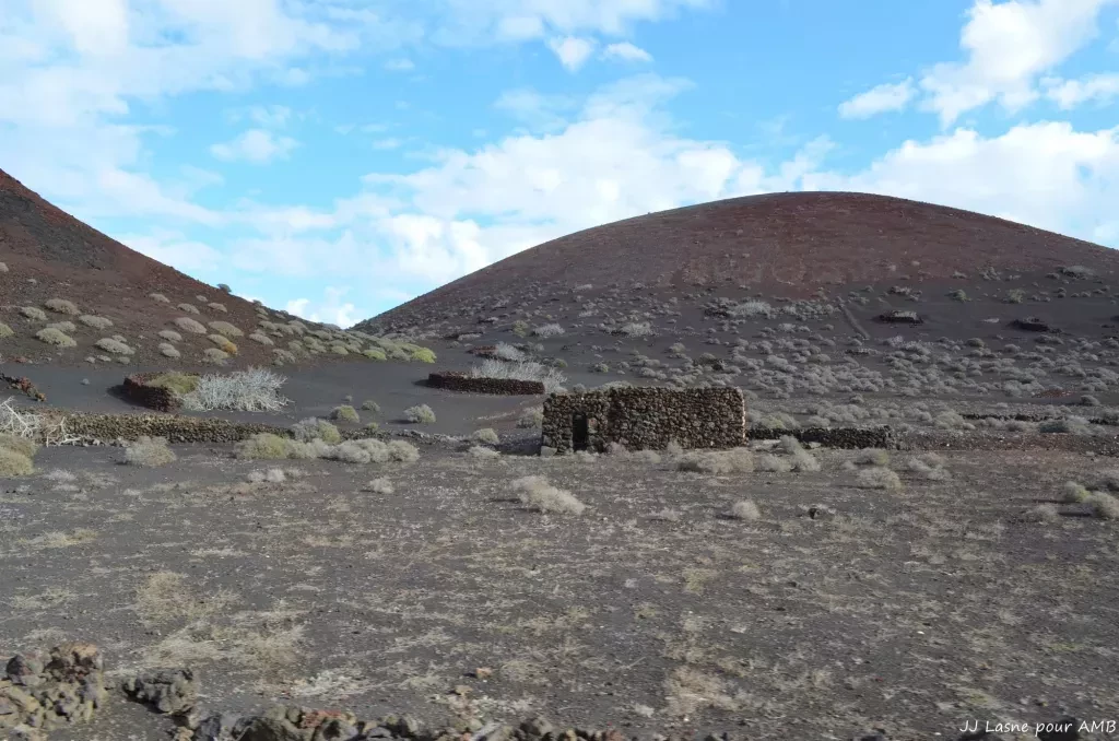 media-libraryhb7j41801ih80ci0T8m