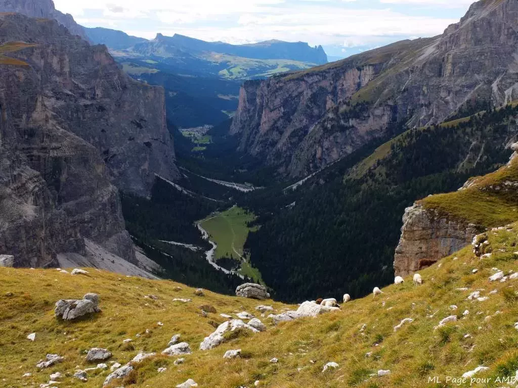 media-librarys7rbkf0m9696dLZ2R1m