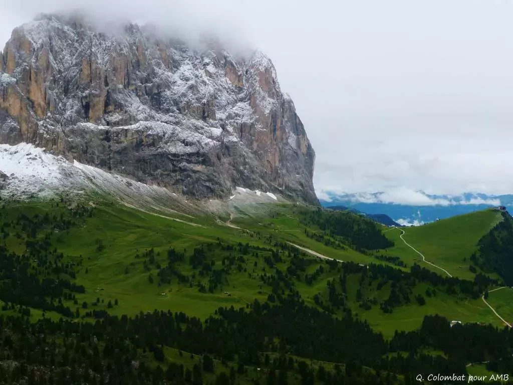 media-libraryp8k2utgke7rr5tVOLFl