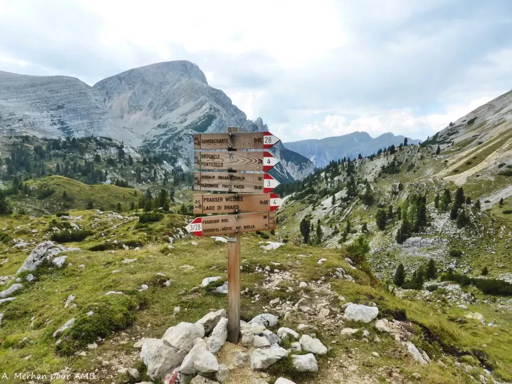 media-librarypvtji1r6j3ru7elLLLn