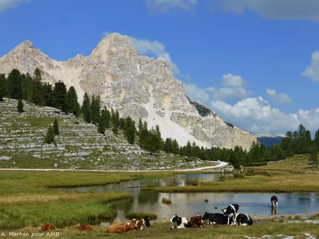 media-library42h6k5fnolm9a3YFgQl