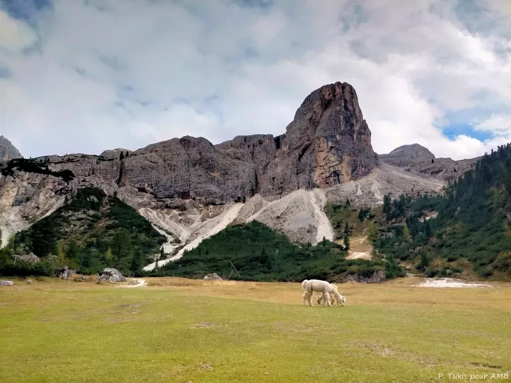 media-libraryh92rh0ee5j2c1rB9WMn