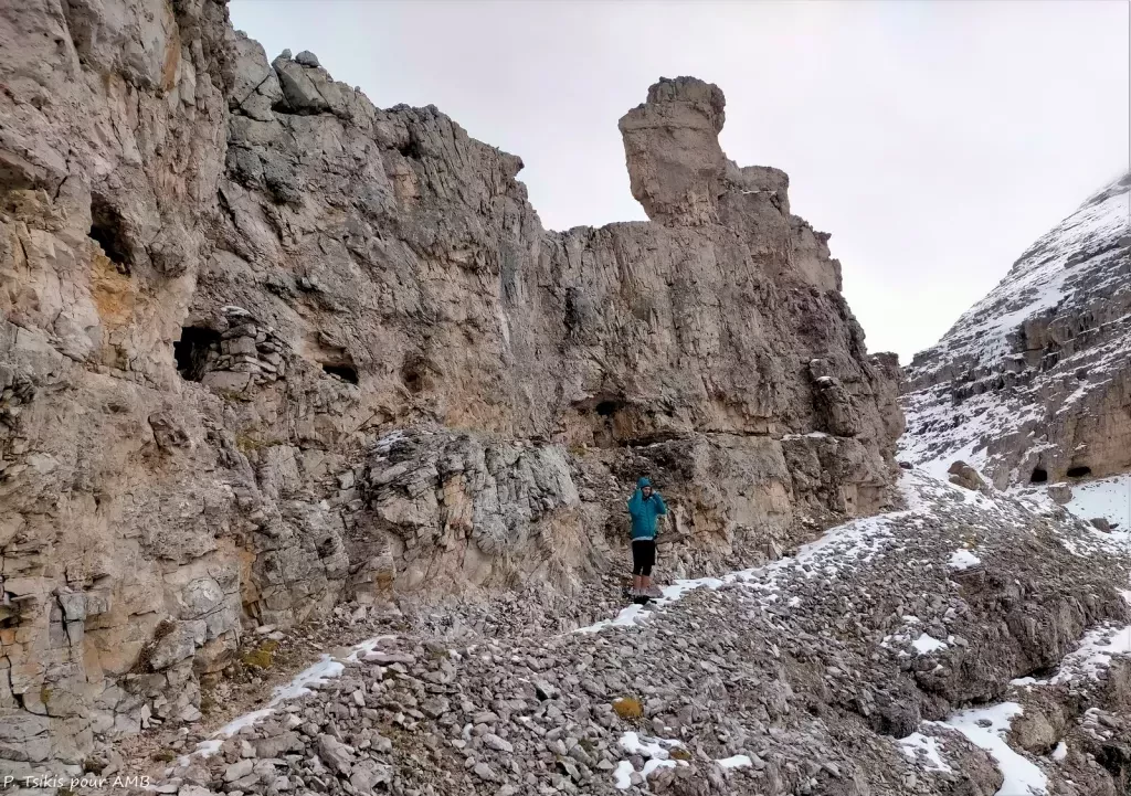 media-libraryng50hf1kajgt0tqEj7m