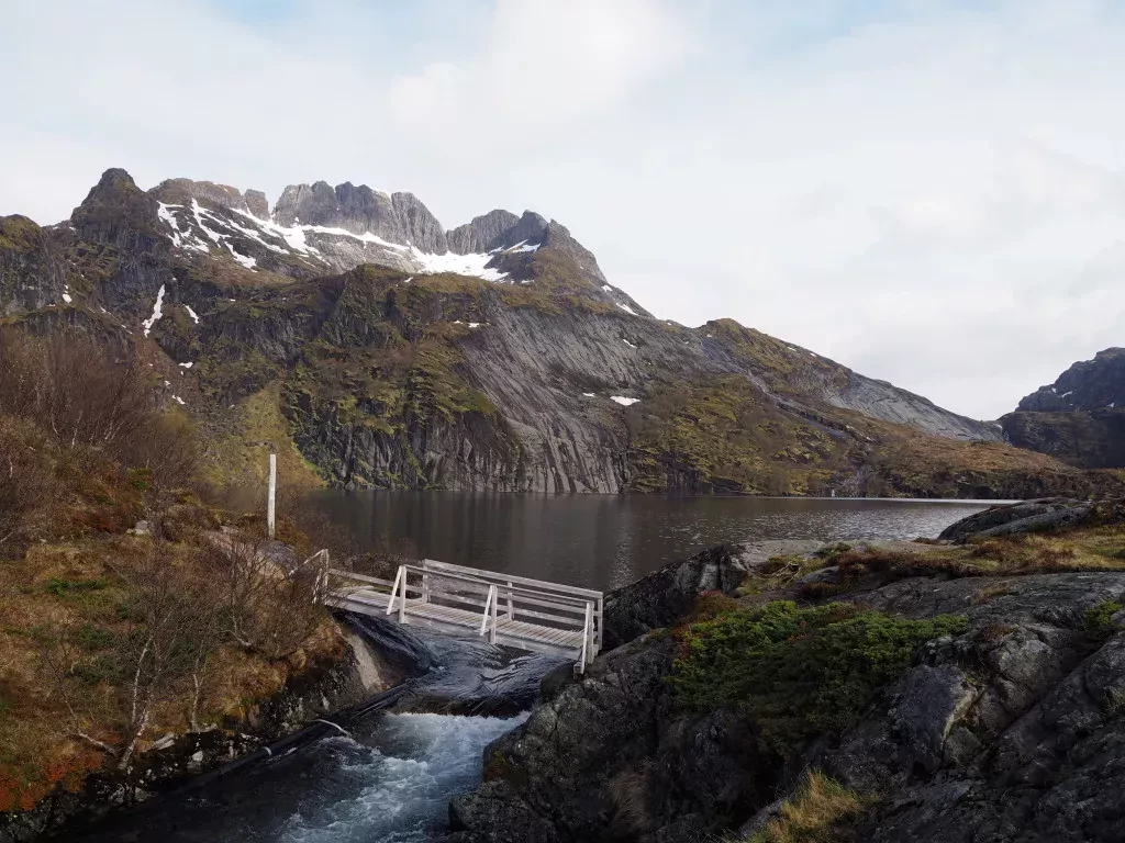 media-library3jat65kosa7ffsT0A5m