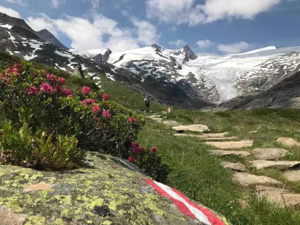 media-libraryour79f29n36oeBcSdyn