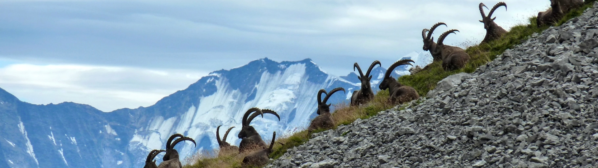 COMBES SECRÈTES DES ARAVIS CONFORT