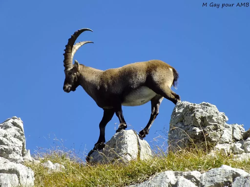 media-libraryag3qstke9i1o5xJsvpn