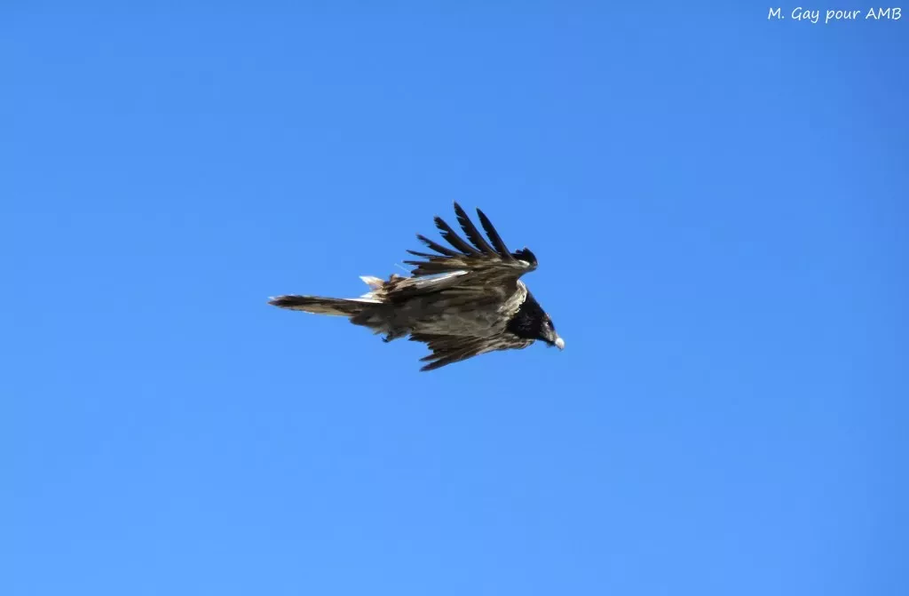 media-libraryou2b7smo007p3Sb1DHp