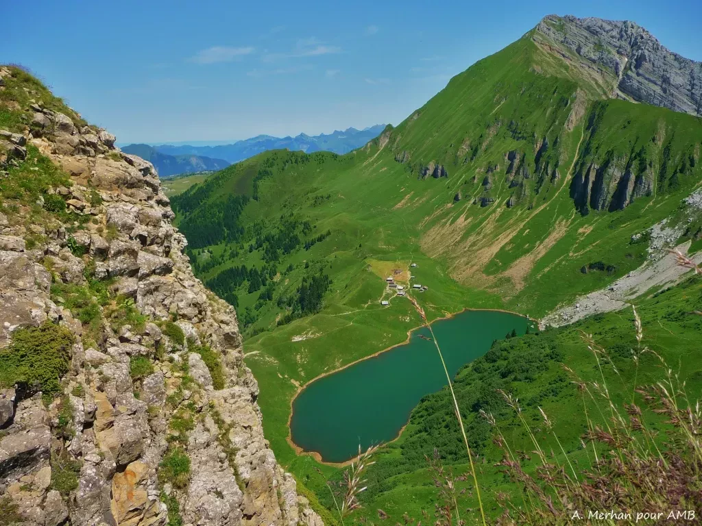 media-library1ag97ed85pit3ytLCzm