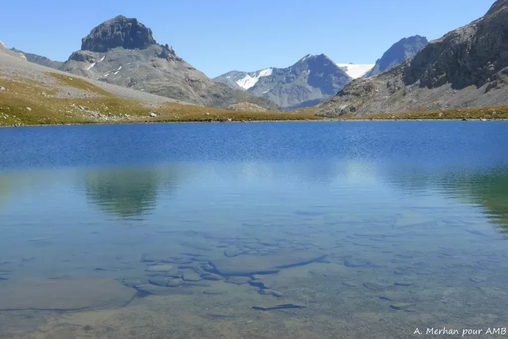 media-libraryrr3ams9f4ogh0l4T8mp