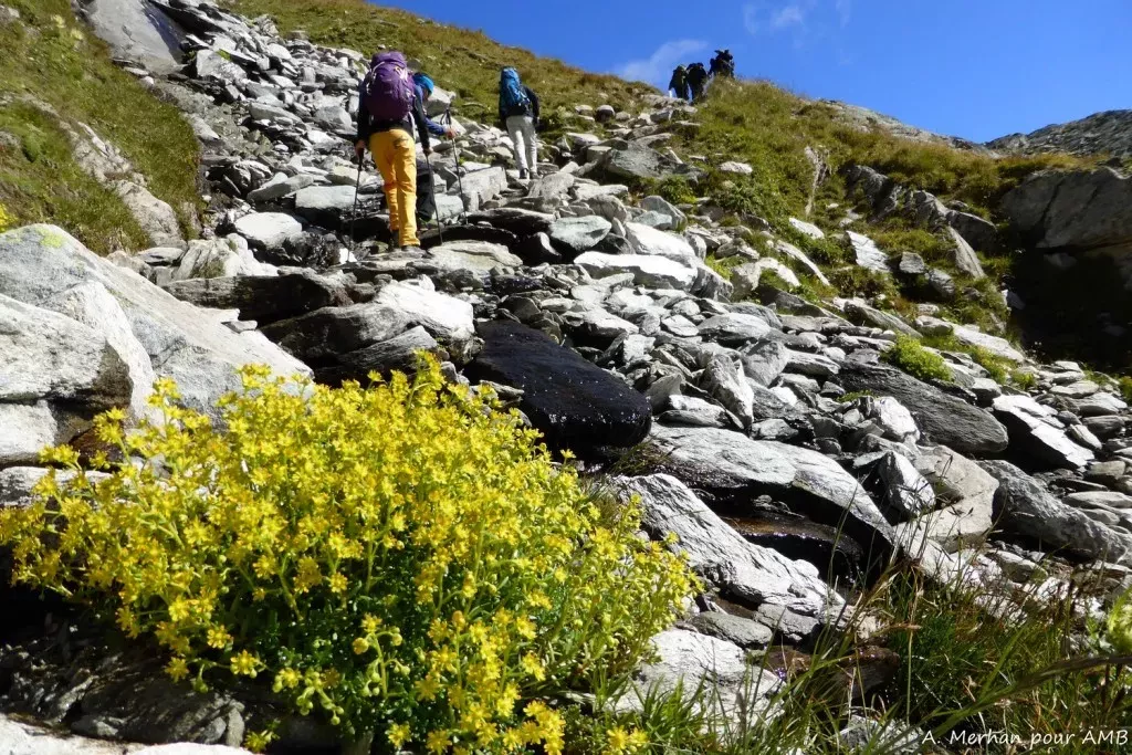 media-libraryklru04jnma826dTfTRp