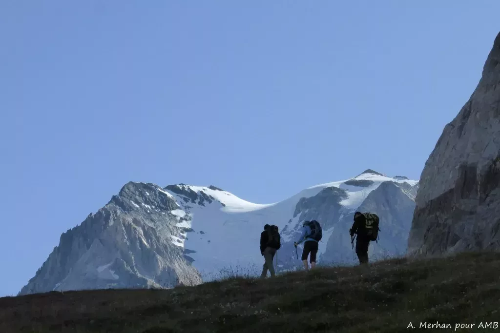 media-librarysm0tnnd1gplibwwmfNp