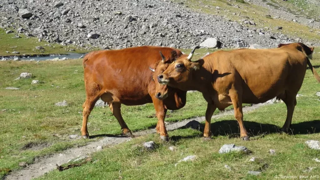 media-library056vs8a31hoi72jX3Gm