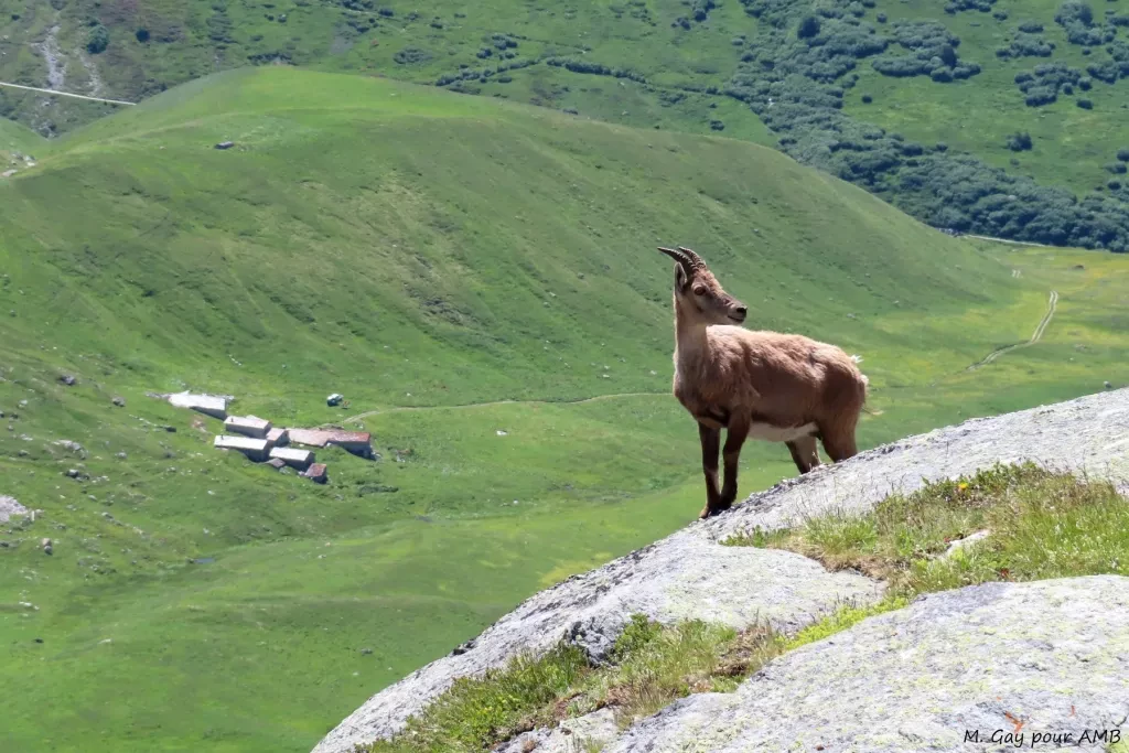 media-libraryeb95al8ul1ec40fkIHn