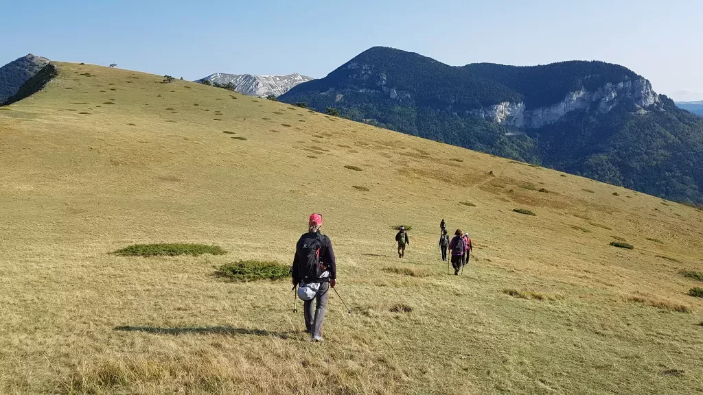 media-library188db39212492US6LYo